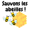 Let's save the bees
