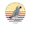 gray parrot