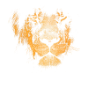 lion head wildcat mane