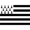 Breton Flag Back