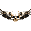 Winged skull