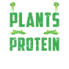 Vegetarian Balanced diet