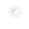 Lemur