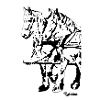gespann11