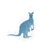 Kangaroo blue
