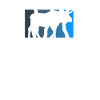 Moose