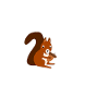 squirrel
