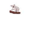 koala