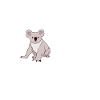 Koalabär