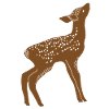 Roe deer
