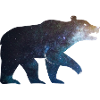 Bear Starlight