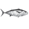 Poisson