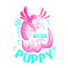 axolotl