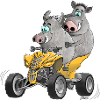 Lustige Quad Fahrer