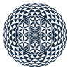 Torus, Sacred Geometry