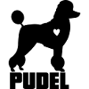 Poodle with heart