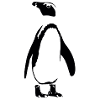 Penguin Outline Black