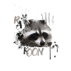 racoon