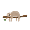 Sloth
