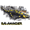 salamander