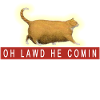 Chonk Cat Meme