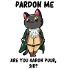 Aaron Purr Alexander Hamilton Parody