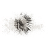 American Indian Indians