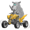 Funny Rhino - Quad