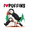 puffin