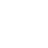geko