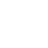 racoon