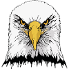 Eagle head
