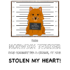 Norwich Terrier Mugshot