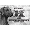 Rhodesian Ridgeback