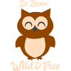 Hibou chouette