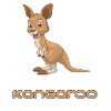 Kangaroo kangaroo