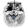 Optometrist dog with trial glasses