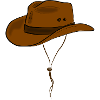 hat