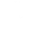 Trumpet Cat Trompete Katze