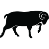 A running ram