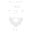 Cool fathers bear beard