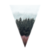 Triangle forestier