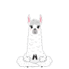 Yoga Lama « Llamaste »