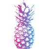 ananas