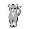 cat 1