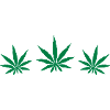 Weed Design