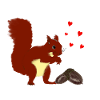 squirrel
