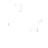 STIER