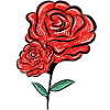 rose blume
