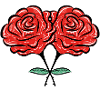 rosen blumen